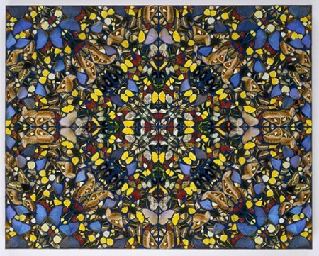 Người xem thì vô cùng thích thú mỗi khi có chú bướm đậu lên mình