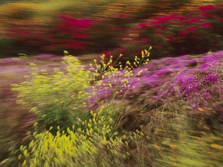 Tàu vận chuyển công-ten-nơ, Singapore
