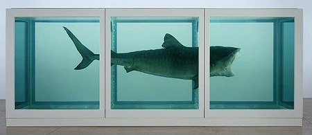 Thức ăn dành cho những chú bướm