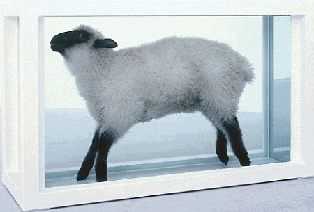 Thức ăn dành cho những chú bướm