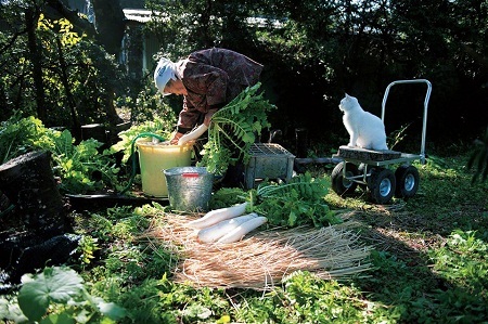 Câu chuyện về bà lão nông dân cô độc gây sốt ở Nhật