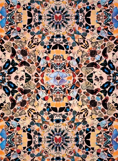 Người xem thì vô cùng thích thú mỗi khi có chú bướm đậu lên mình