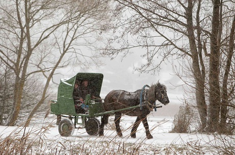 Belarus: Một người đàn ông đánh xe ngựa dưới trời tuyết rơi.