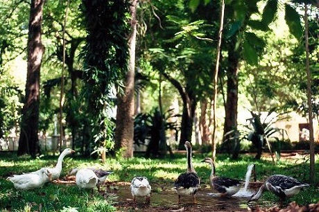 Thú vị trước bối cảnh của những phim “bom tấn” năm 2012 - 8 Thú vị trước bối cảnh của những phim “bom tấn” năm 2012