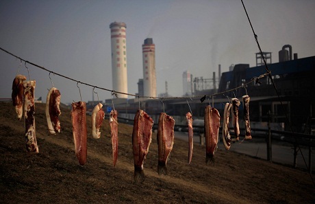 Hình ảnh khói bụi giăng kín Trung Quốc - 15 Cá phơi khô trong bầu không khí ô nhiễm