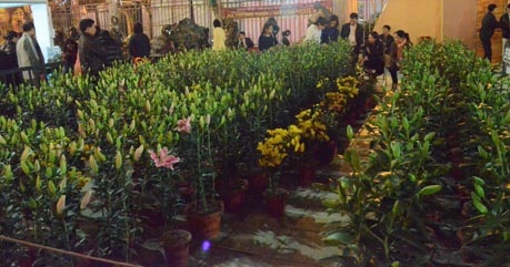 Một góc cửa hàng hoa