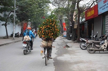 Chuyện kể hài hước về Tết Hà Nội của một thanh niên Mỹ - 3 Tết Hà Nội qua ống kính và bút ký của anh chàng Tây