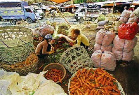 Chợ Cầu Muối của tôi - 3 Chợ Cầu Muối của tôi