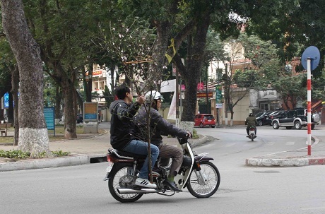 Chuyện kể hài hước về Tết Hà Nội của một thanh niên Mỹ - 8 Này anh, nhà anh Tết năm nay chơi cành đào to thế, chắc chắn nhà anh sẽ đẹp hơn đấy.