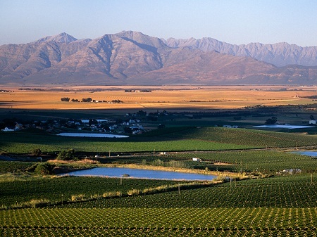 Rực rỡ những lễ hội mùa xuân