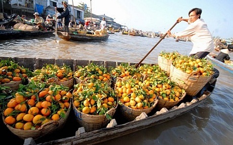 Tản mạn Cần Thơ - 3 Tản mạn Cần Thơ