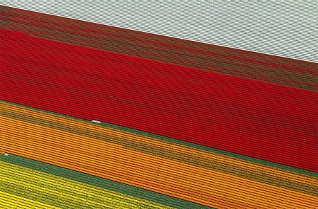 Vẻ đẹp diễm lệ của những thảm hoa tulip vào mùa - 10 Pi Uy
