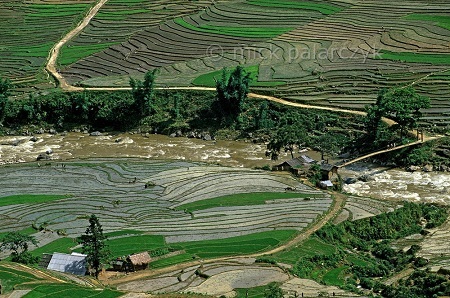 Những thửa ruộng bậc thang và con sông Mường Hoa ở bản Lao Chải, Sapa