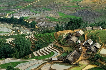 Một ngôi làng nhỏ trong thung lũng Mường Hoa, Sapa