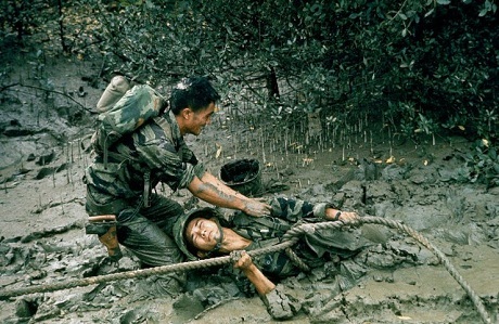 Hình ảnh về một "Nước Việt Nam từ trong máu lửa" - 5 Sa lầy trong một khu rừng thuộc đồng bằng sông Cửu Long.