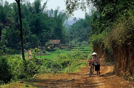 Đường làng ở thung lũng Sơn La