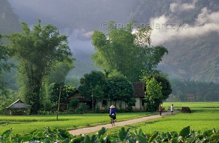 Bản Lác ở Mai Châu, Hòa Bình