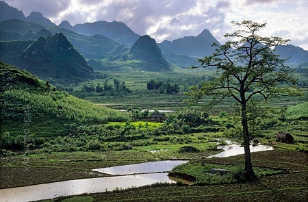 Tam Đường, Lai Châu