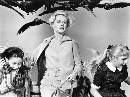 "Bóng hồng" tóc vàng xinh đẹp của Alfred Hitchcock - 4 Những bóng hồng tóc vàng của Alfred Hitchcock