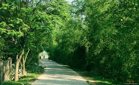 Con đường không tên - 1 Con đường không tên