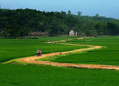Con đường không tên - 2 Con đường không tên