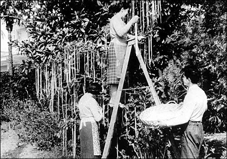 Những cú lừa ngoạn mục của giới truyền thông ngày Cá tháng Tư - 11 Bạn có tin một ngày nào đó sẽ có những chiếc xe đua tự lái như thế này?