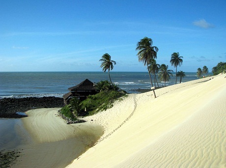 Vẻ đẹp kỳ lạ của những bãi biển “độc nhất vô nhị” - 3 Bãi cát hồng ở đảo Harbour, Bahamas.