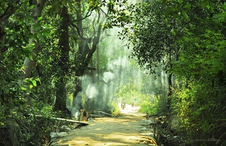Con đường không tên - 4 Con đường không tên