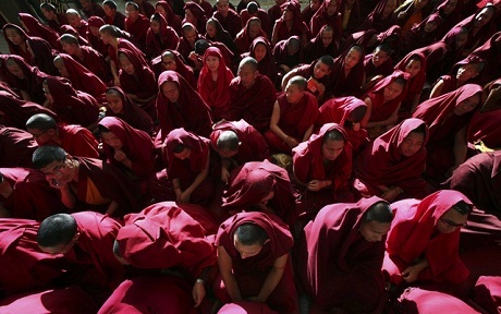 Trung Quốc và Mỹ hợp tác làm phim “Mật mã Tây Tạng” - 2 Trung Quốc và Mỹ hợp tác làm phim “Mật mã Tây Tạng”