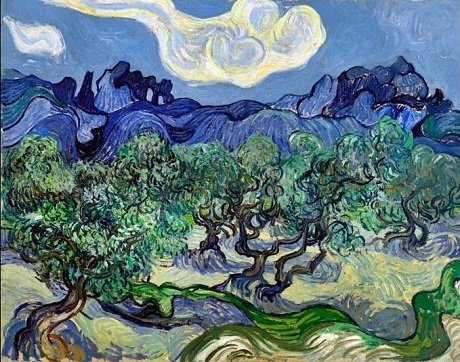 Hơn 100 năm nhìn lại những kiệt tác làm nên "Vincent Van Gogh" - 7 Bức “The Olive Trees” (Những cây ôliu) - 1889