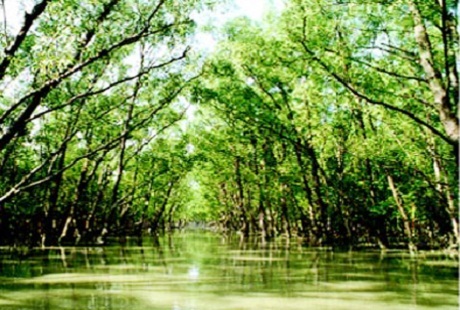 Những kỳ quan thiên nhiên có thể biến mất trong nay mai - 8 Những kỳ quan thiên nhiên có thể biến mất trong nay mai