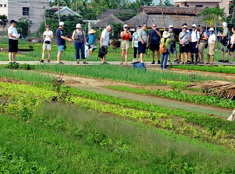 Chiêm ngưỡng vẻ đẹp cổ kính của hai di sản thế giới tại Quảng Nam - 9 Một góc phổ cổ