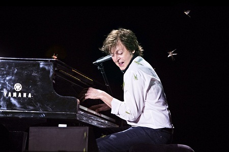Hàng ngàn châu chấu “tấn công” Paul McCartney trong buổi biểu diễn - 1 Châu chấu “tấn công” Paul McCartney trong buổi biểu diễn
