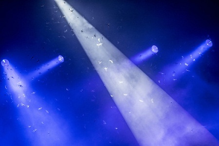 Hàng ngàn châu chấu “tấn công” Paul McCartney trong buổi biểu diễn - 2 Châu chấu “tấn công” Paul McCartney trong buổi biểu diễn