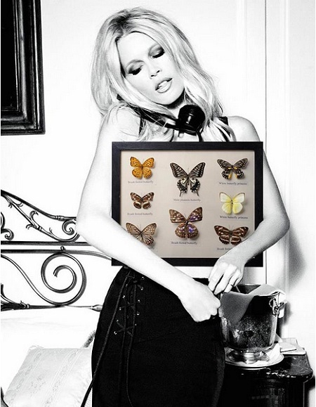 Thú vui giải trí kỳ lạ của các ngôi sao - 2 Thú vui giải trí kỳ lạ của các ngôi sao