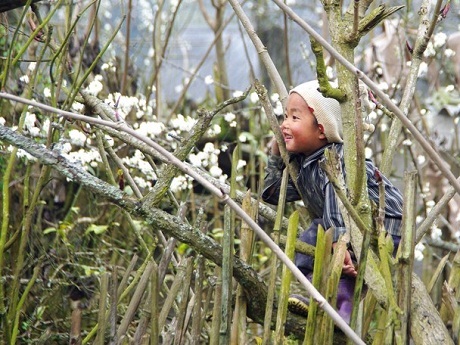 Lời chào ngượng nghịu – Tác giả người Canada Dave Mercer chụp tại Lào Cai. 