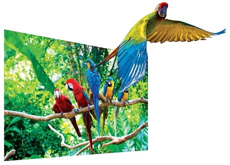 Thật như cuộc sống