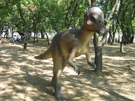 Ở khu vực mô phỏng