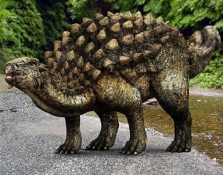 Ở khu vực mô phỏng