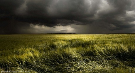 Ánh sáng mặt trời len qua mây đen chiếu xuống bãi cỏ.