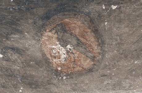 Phục chế hầm mộ 1500 tuổi ở Trung Quốc - 4 Mặt trời với con quạ nằm trong