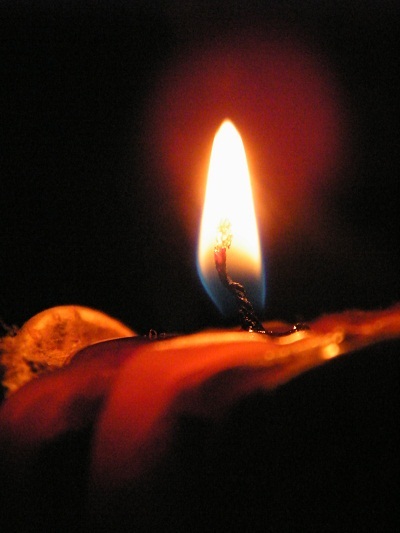 Vòng đời - Nguyễn Mạnh Hà