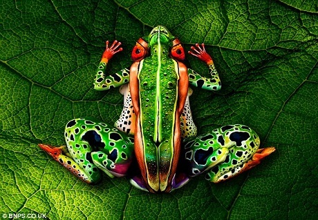 Chú ếch xanh này cần tới 5 người mẫu cùng hợp lại để tạo nên.