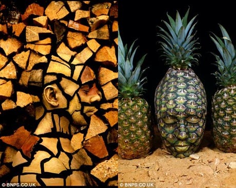 Chú ếch xanh này cần tới 5 người mẫu cùng hợp lại để tạo nên.