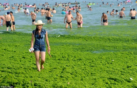 Hình ảnh rùng mình về danh thắng một thời của Trung Quốc - 8 Nếu nhìn qua bức ảnh, bạn có thể tưởng lầm là cô gái đang đi bộ trên một thảm cỏ xanh.