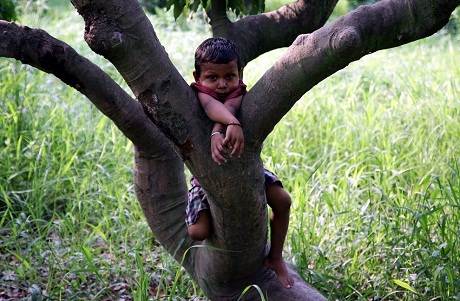 Một chú voi con đang tắm mát trong công viên Blijdorp ở thành phố Rotterdam, Hà Lan.