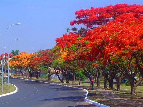 Mùa ký ức - 5 Mùa ký ức