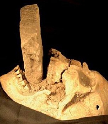 Tìm thấy mộ “ma cà rồng” ở Ba Lan