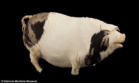 Nghe bản nhạc cuối cùng vang lên khi tàu Titanic chìm - 1 Chú lợn đồ chơi của cô Edith Rosenbaum.