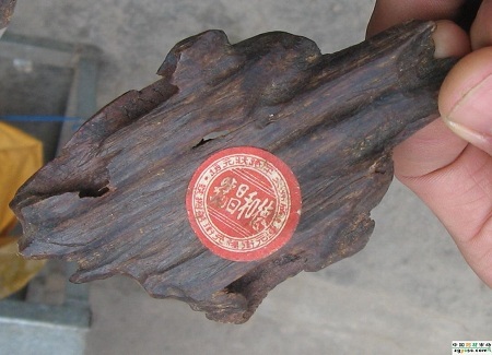 Một mẩu gỗ trầm hương